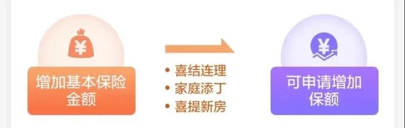 大公司出品，这款定寿的保障和价格终于“不跌份”了！阳光大力神定期寿险插图14