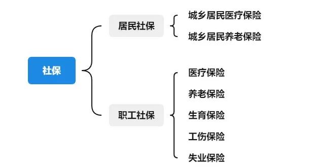 没有工作单位怎么交社保？这样交能领上千元补贴！插图