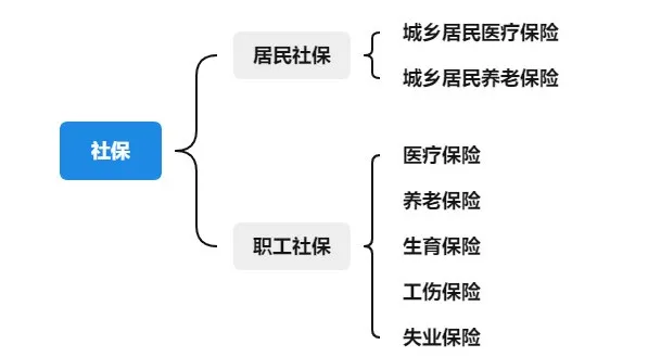 2022医疗保险的缴费标准是多少？有哪些待遇？插图