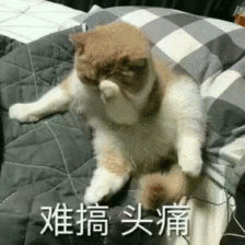 百万医疗险产品,细思极恐的服务BUG插图3 百万医疗险产品,细思极恐的服务BUG插图3