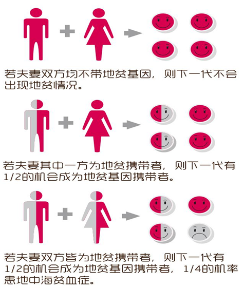 地中海贫血者买哪个险种好？还能买到重疾险吗？插图4