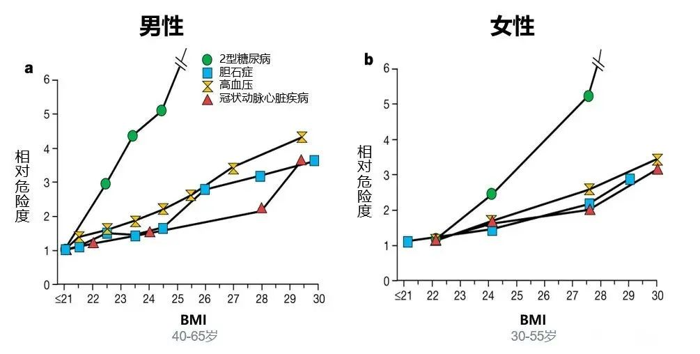 超重或肥胖，BMI不达标，影响买保险吗？插图