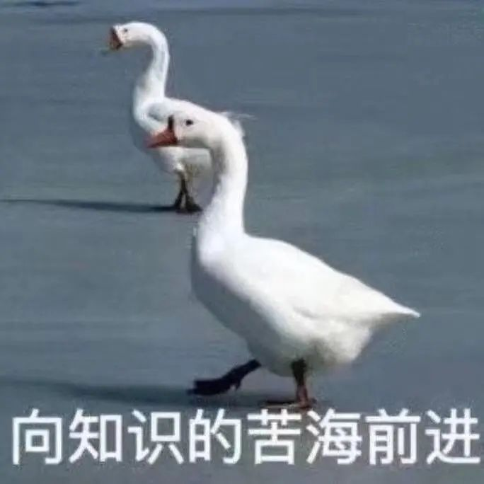 赚三千块，一千用来交手续费？插图2