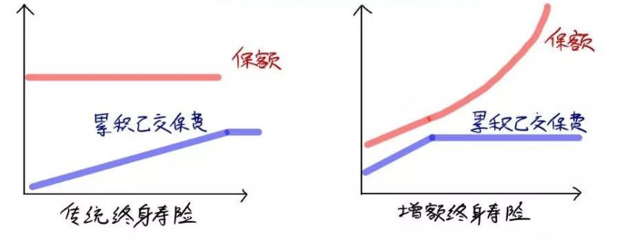 弘康金玉满堂：安全稳定，长期收益可观，市场第一梯队产品长啥样？插图2