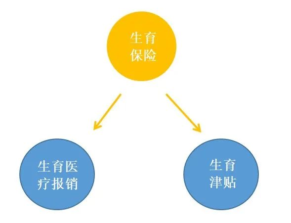 最全面的产检费、生产费、生育津贴领取攻略!插图1 最全面的产检费、生产费、生育津贴领取攻略!插图1