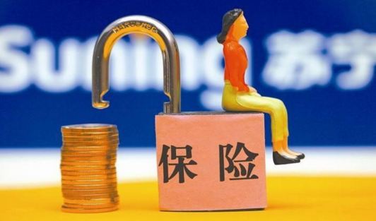 重疾保险对风险有很大的抵御作用插图