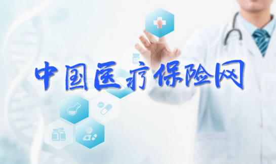 中国医疗保险网提供的服务类型越来越多样化插图