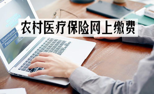 医疗保险网上怎么缴费，流程是什么？插图