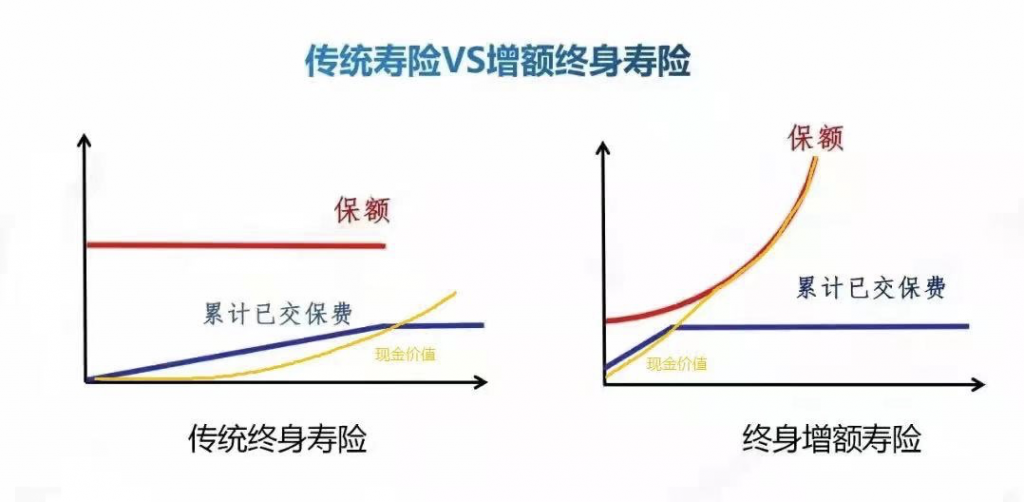 什么是增额终身寿险？这篇文章看完你就知道了…插图2