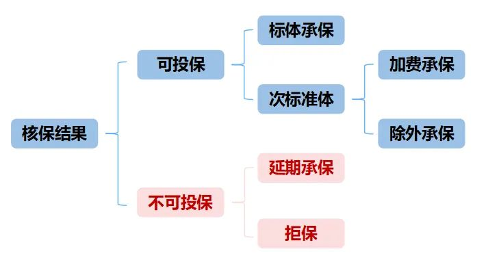 《人民日报》披露体检异常的前十名，看看你中了吗？体检异常保险怎么购买好？插图4