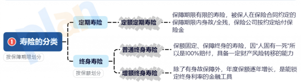 为什么我年纪轻轻就安排好了“身后事”？插图8