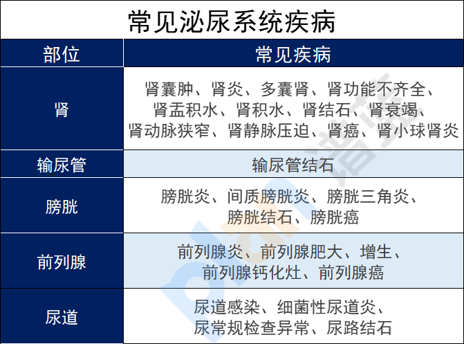 有结石类的泌尿系统疾病可以买保险吗？有什么保险可以买呢？插图2