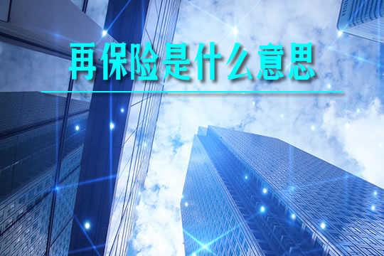 再保险是什么意思？中国有哪些再保险公司？插图