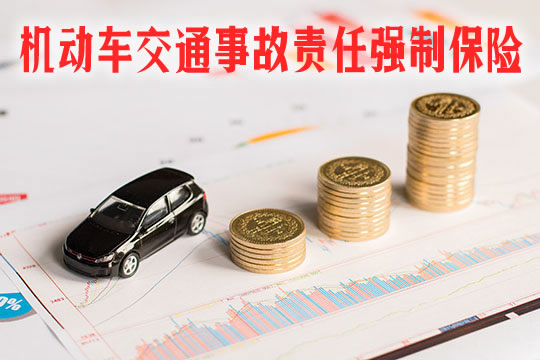 机动车交通事故责任强制保险插图