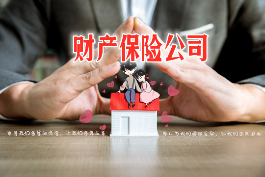 财产保险公司有哪些？插图