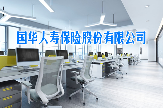 国华人寿保险有限公司介绍插图2