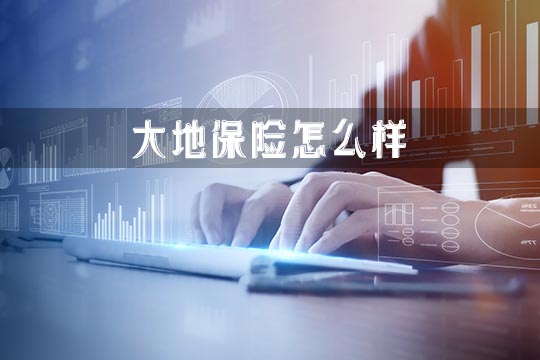 大地保险怎么样？插图