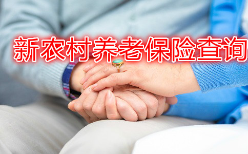 如何查询新农村养老保险？插图