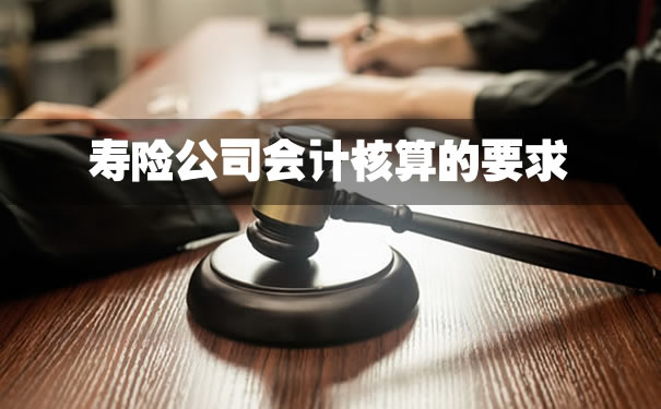 寿险公司会计要求插图