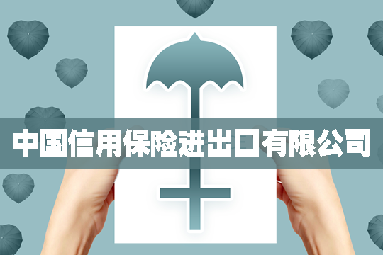 中国信用保险进出口有限公司，业务包括哪些？社会责任是什么？插图