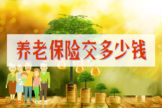 养老保险多少钱插图