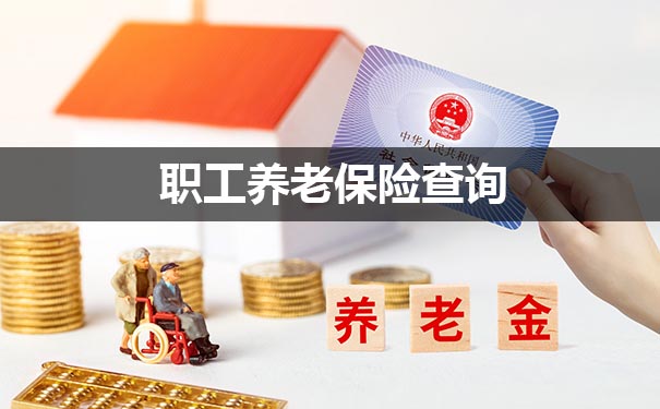 职工养老保险查询插图