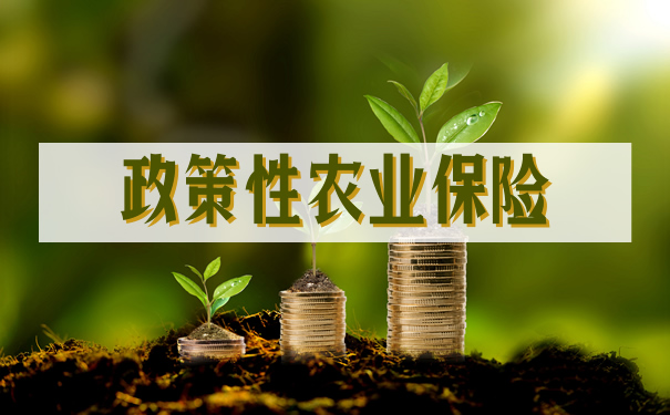 政策性农业保险插图