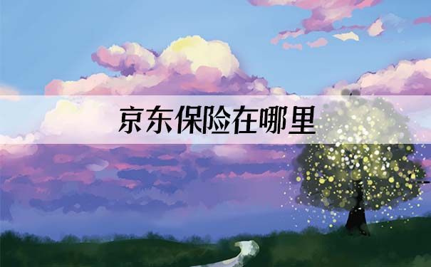 京东保险在哪里？插图
