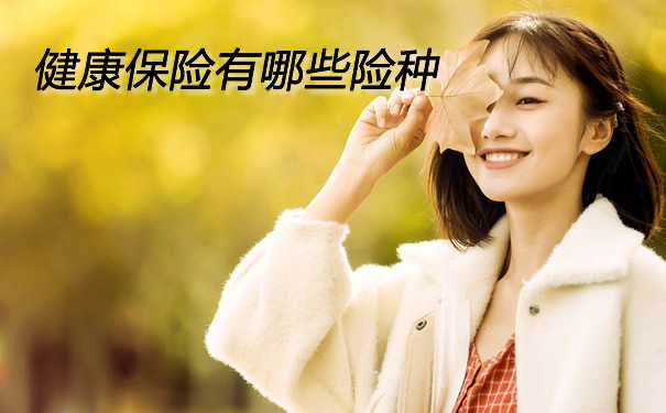 健康保险介绍插图