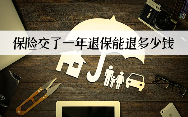 保险退保一年能退多少钱插图