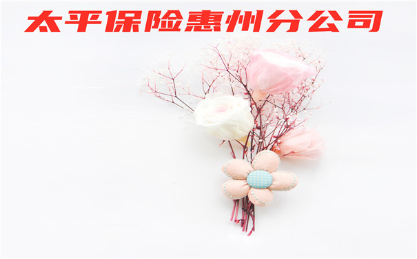 惠州太平保险公司，惠州太平保险分公司插图