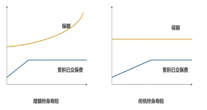 终身寿险与增额终身寿险、终身寿险与增额终身寿险的区别插图2