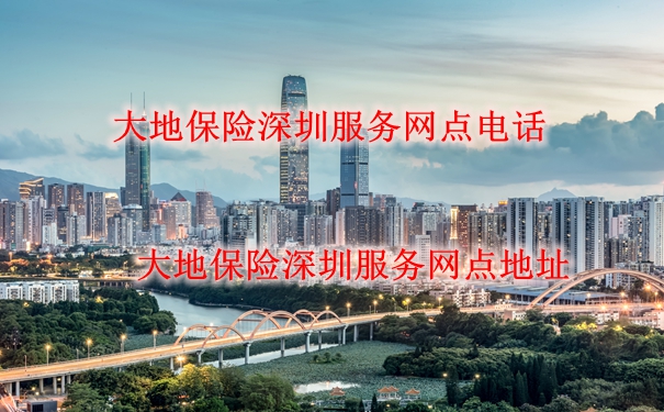 深圳大地保险服务网电话、地址插图