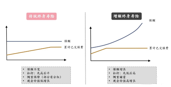 增额终身寿险和人寿保险哪个值得买插图