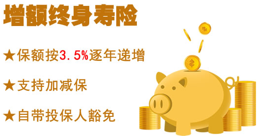 定额终身寿险和增额终身寿险的区别具体有哪些？插图