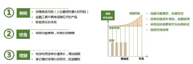 还是增额终身寿险,适合多数人购买插图 还是增额终身寿险,适合多数人购买插图