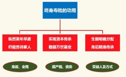 c位增额终身寿险是哪一款？插图