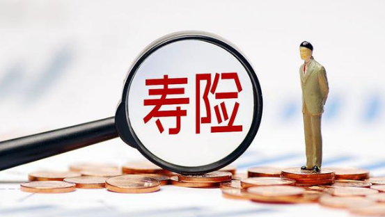 增额终身寿险哪个最好?购买要考虑哪些方面?插图 增额终身寿险哪个最好?购买要考虑哪些方面?插图