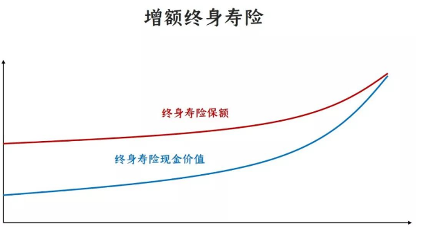 金满满增额终身寿险真的好吗插图