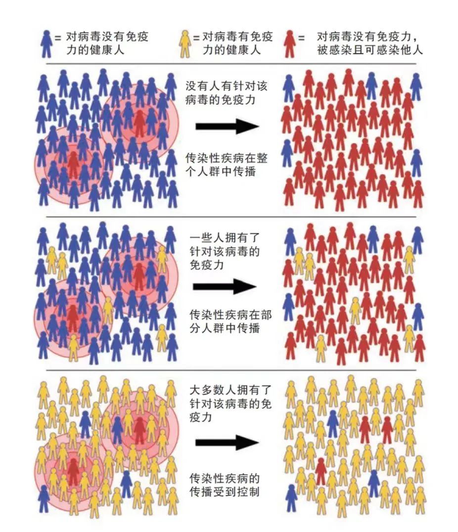 新冠实施“乙类乙管”，医保报销怎么办？插图4