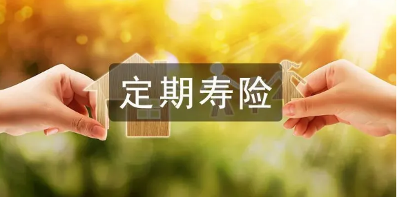 华贵大麦2022定期寿险亮点很丰富插图