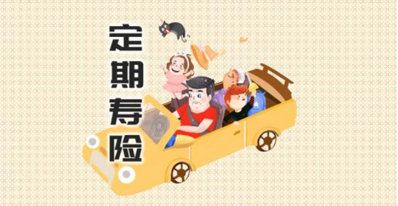 阳光全民保定期寿险怎么样可靠么？插图