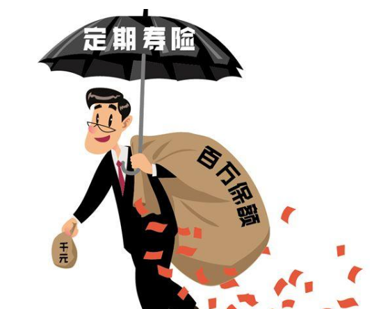 阳光全民保定期寿险怎么样还需要全面分析插图