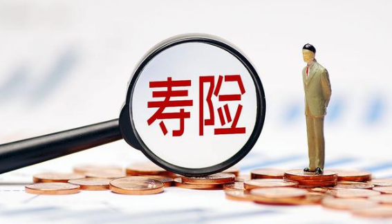 年金保险与增额终身寿险区别有哪些？插图