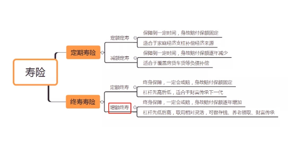 康满溢增额终身寿险小康产品价值很不错插图