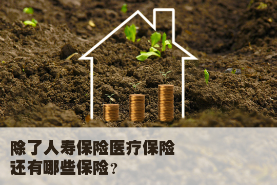 人寿保险医疗保险有什么区别？插图2
