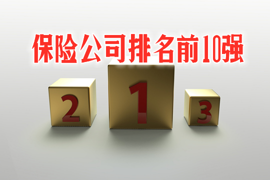 十大保险公司插图4
