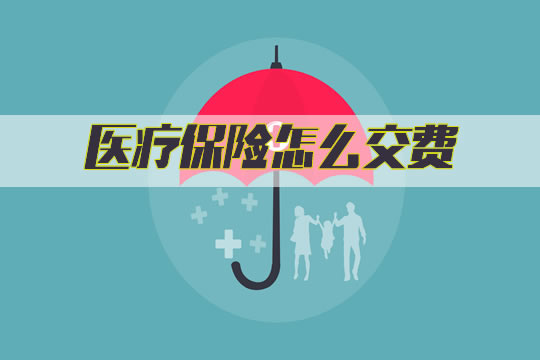 如何支付医疗保险费用？医疗保险的支付方式是什么？插图