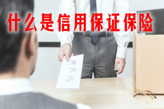 信用担保保险是什么插图