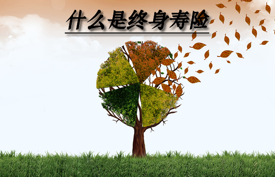 什么是终身寿险？有什么优缺点？谁适合买？插图
